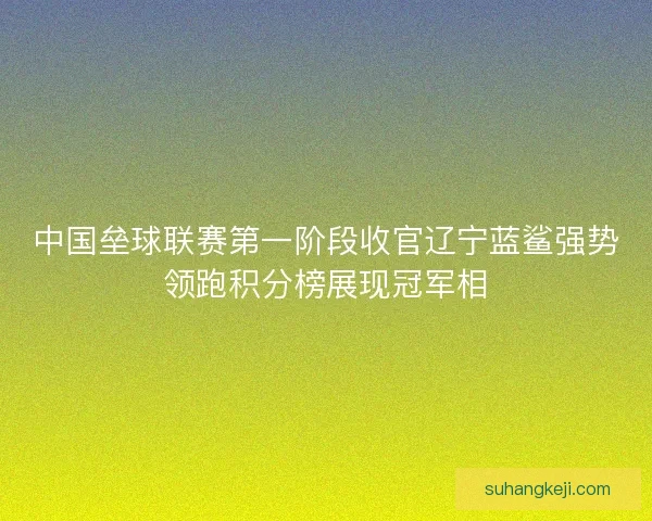 中国垒球联赛第一阶段收官辽宁蓝鲨强势领跑积分榜展现冠军相